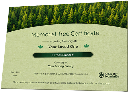 Plant Trees in Memory of Braxton Alexander Lucas 